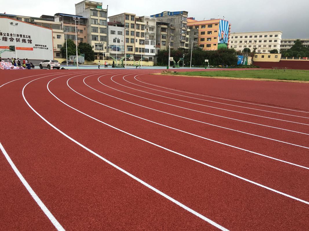 济宁市EPDM颗粒塑胶跑道材料 - 价格